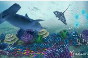 娱乐星空下载app正式版