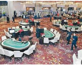 娱乐星空下载app2024最新版